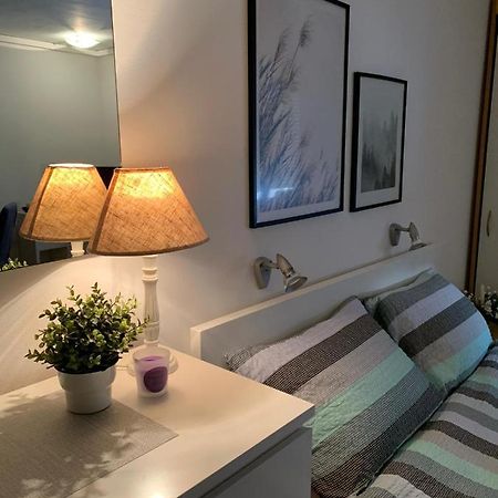 Sarmantni Apartman Malecka 2 萨格勒布 外观 照片
