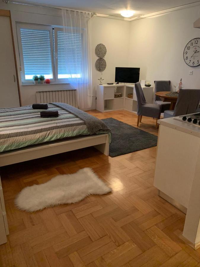 Sarmantni Apartman Malecka 2 萨格勒布 外观 照片