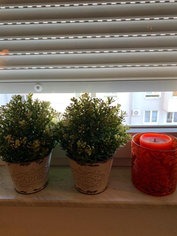 Sarmantni Apartman Malecka 2 萨格勒布 外观 照片