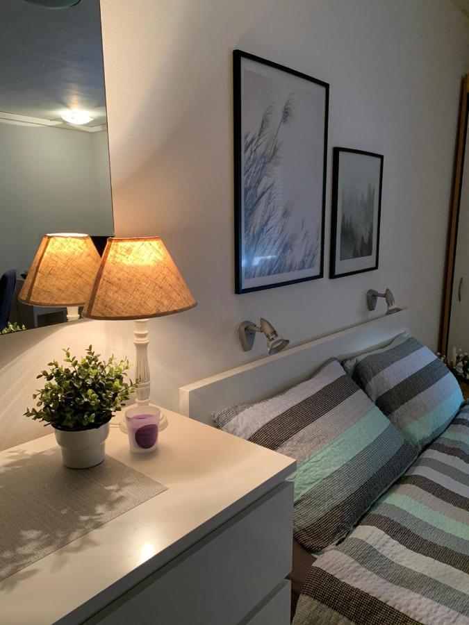 Sarmantni Apartman Malecka 2 萨格勒布 外观 照片