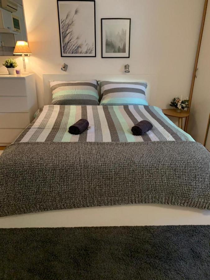 Sarmantni Apartman Malecka 2 萨格勒布 外观 照片