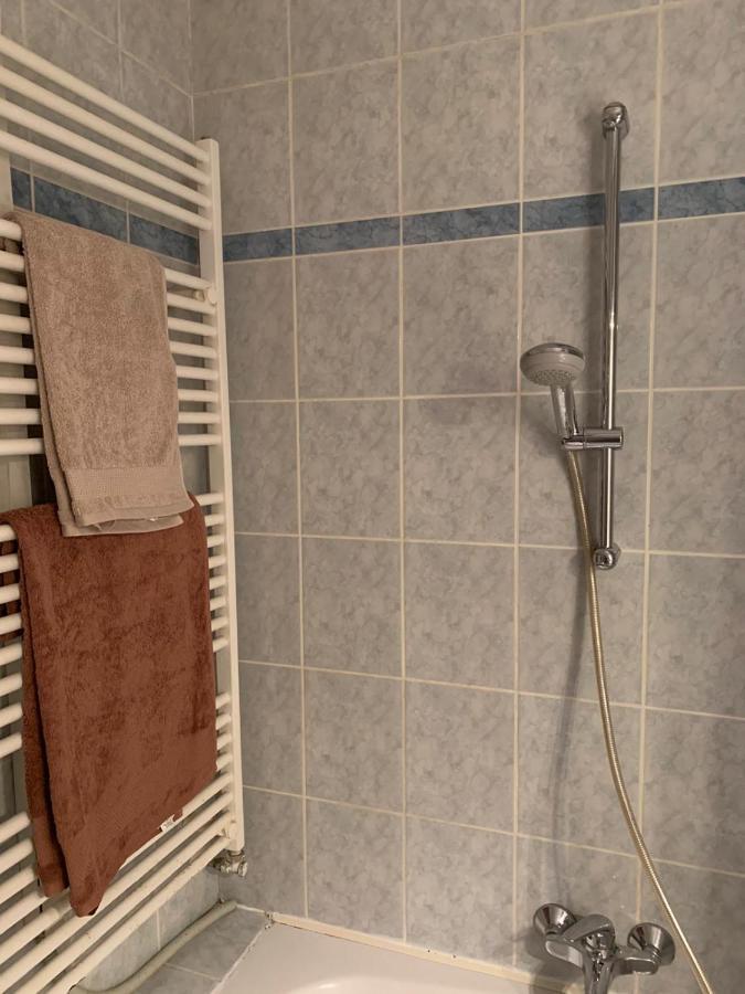 Sarmantni Apartman Malecka 2 萨格勒布 外观 照片
