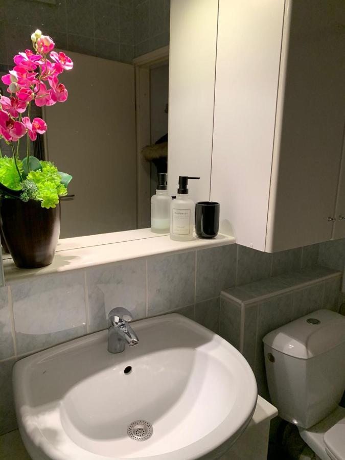 Sarmantni Apartman Malecka 2 萨格勒布 外观 照片